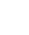 risk_icon