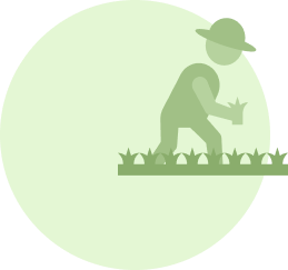 capacity_building
