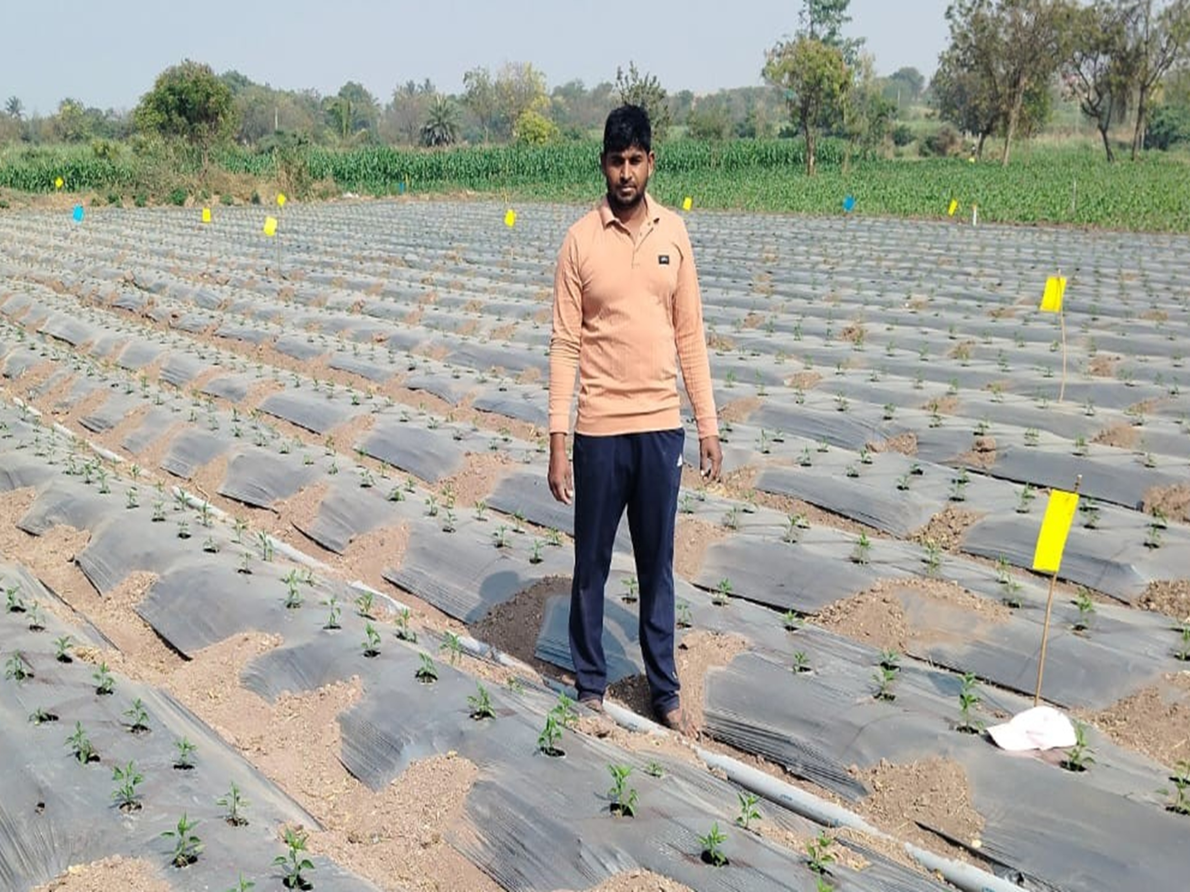drip_irrigation