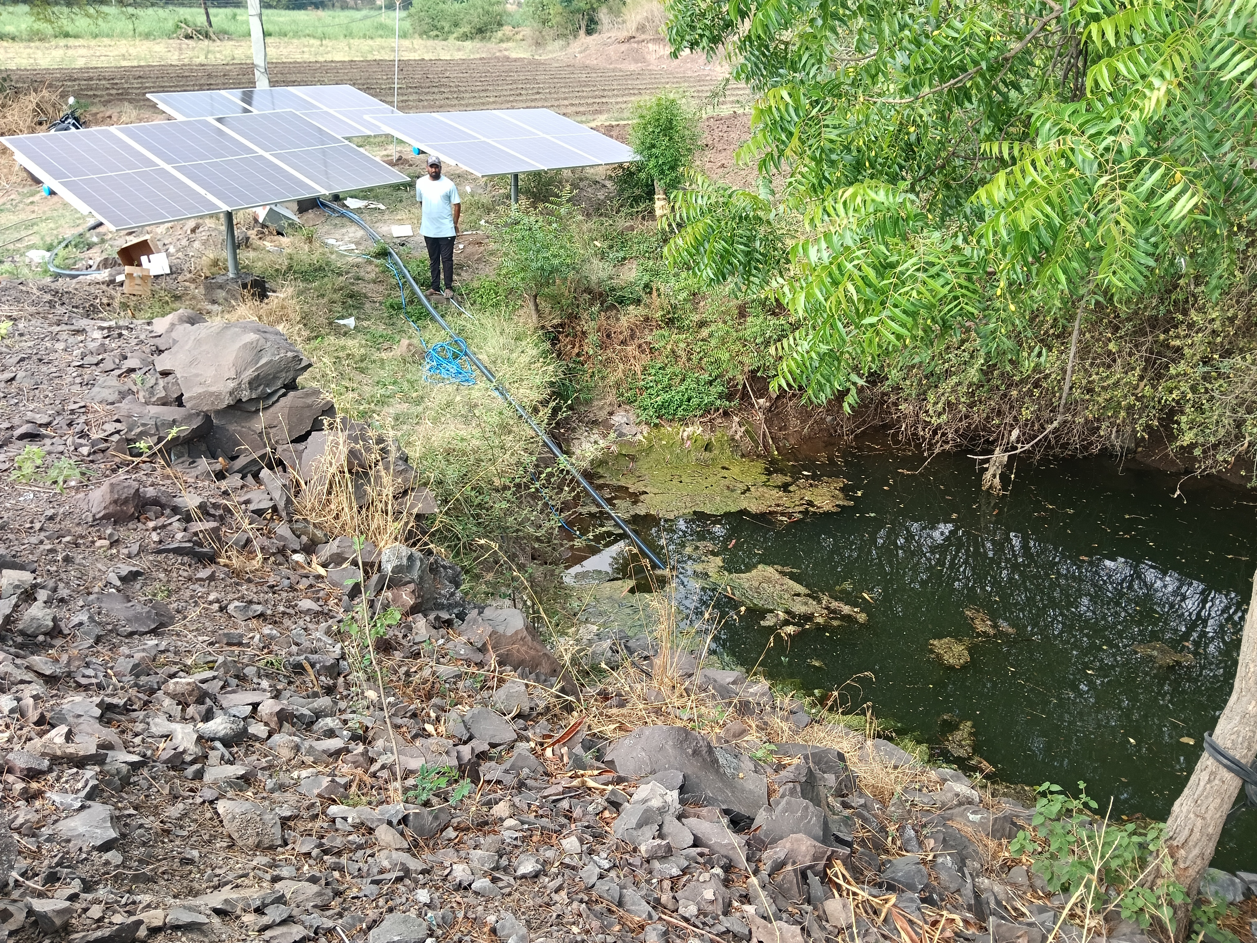irrigation